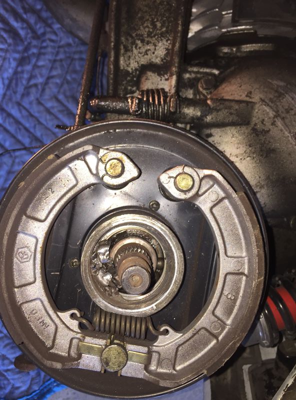 Forum member supplied image with no explanatory text