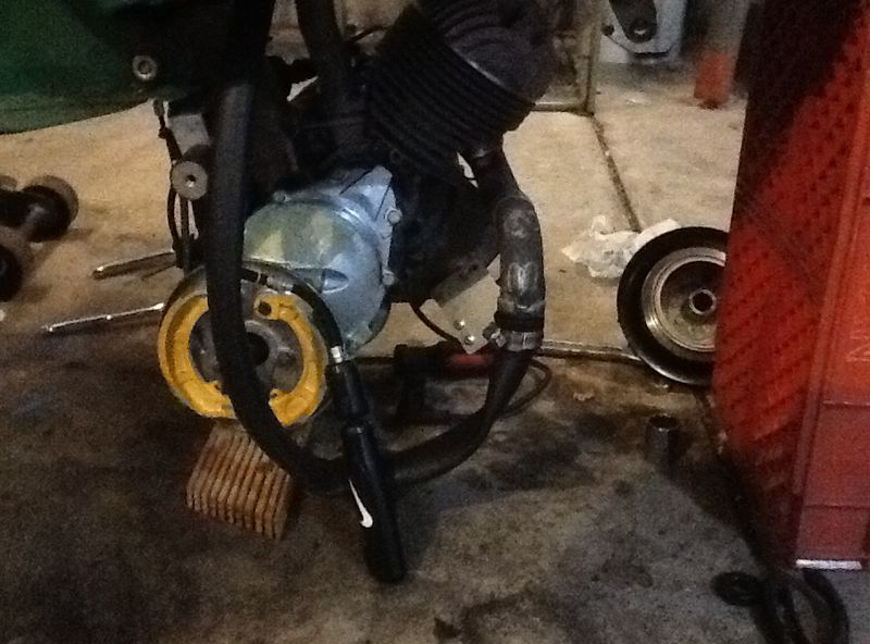 Forum member supplied image with no explanatory text