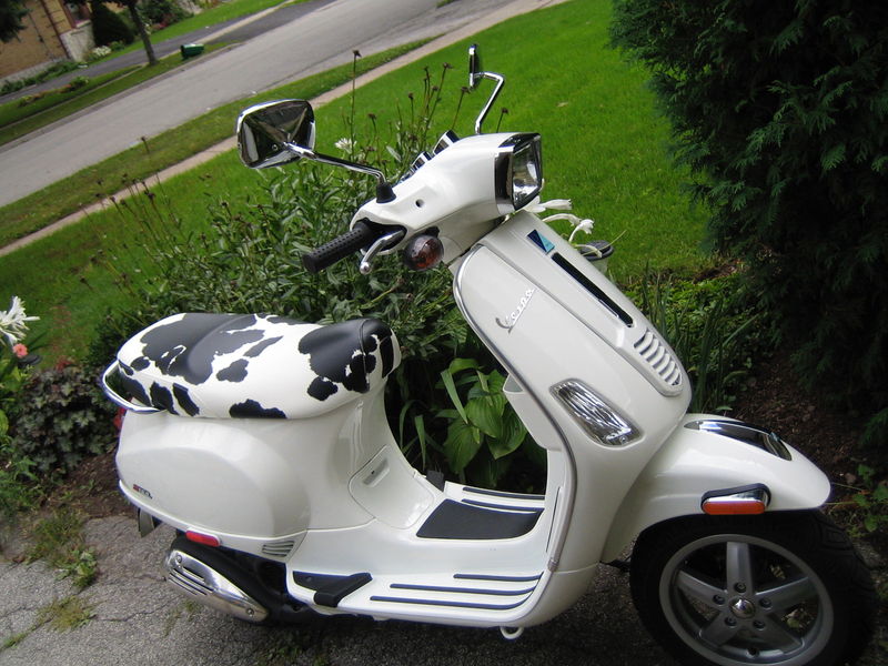 Forum member supplied image with no explanatory text
