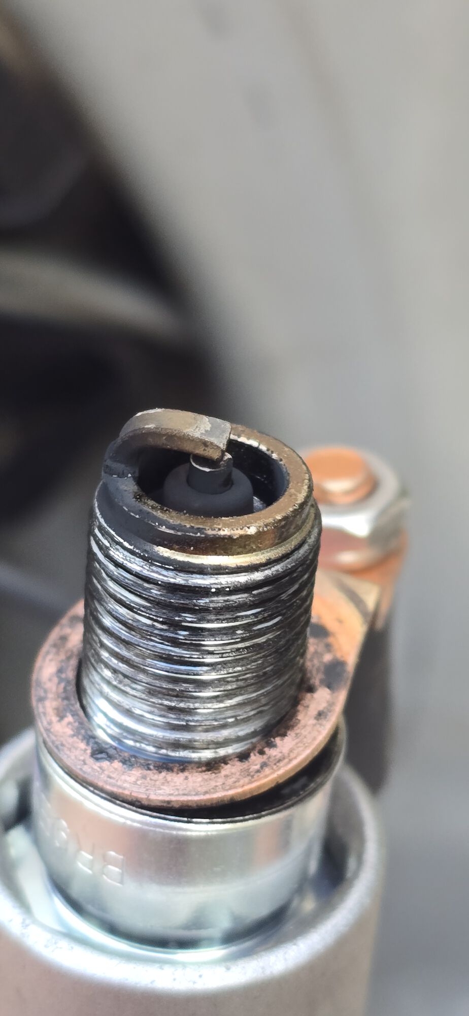 Forum member supplied image with no explanatory text