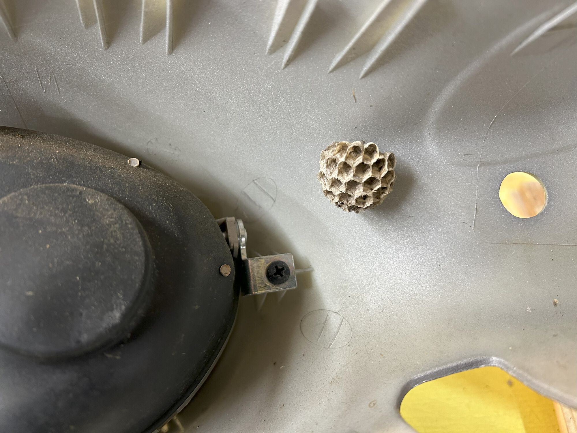 Headset wasp nest.