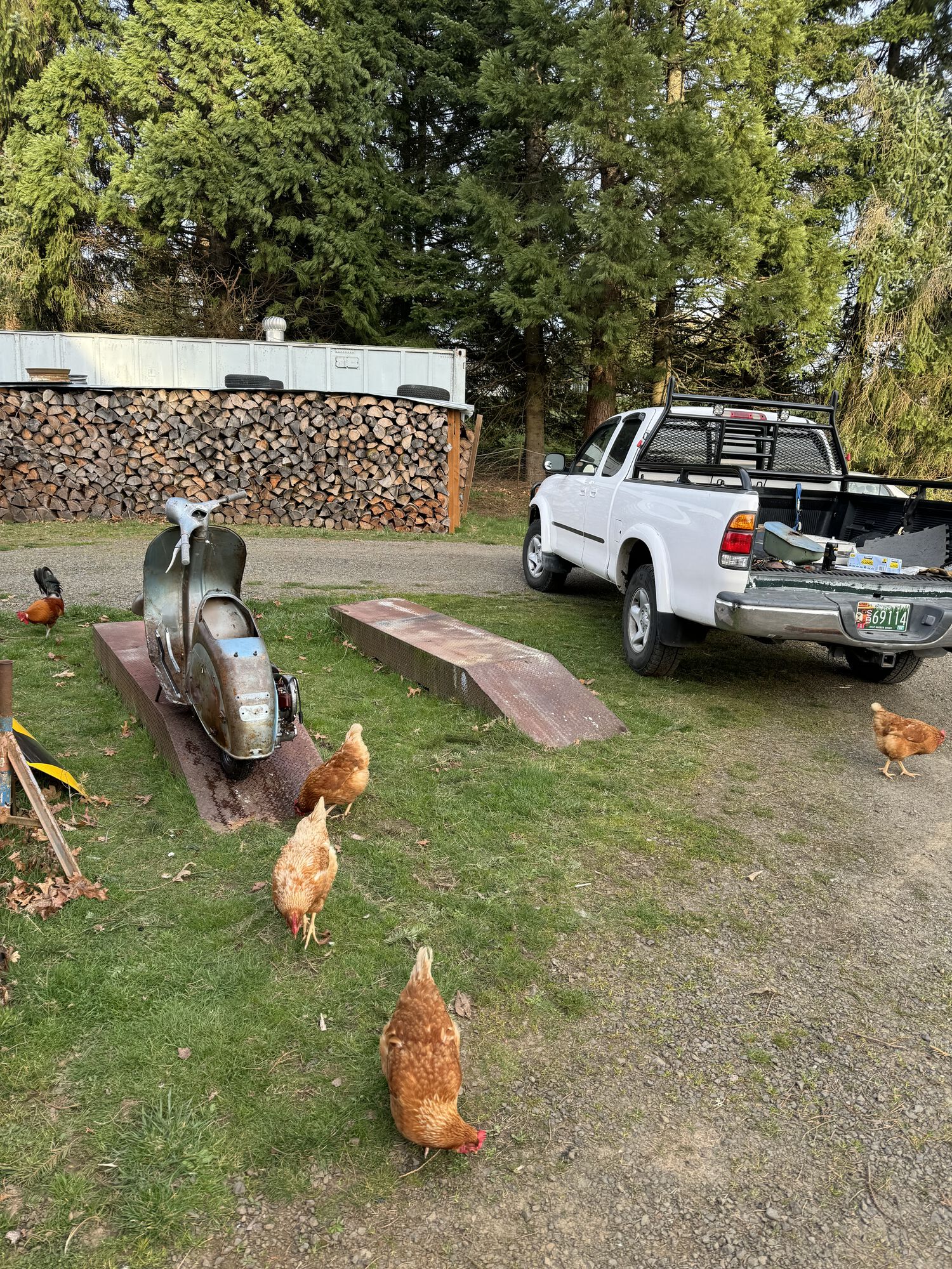 Forum member supplied image with no explanatory text