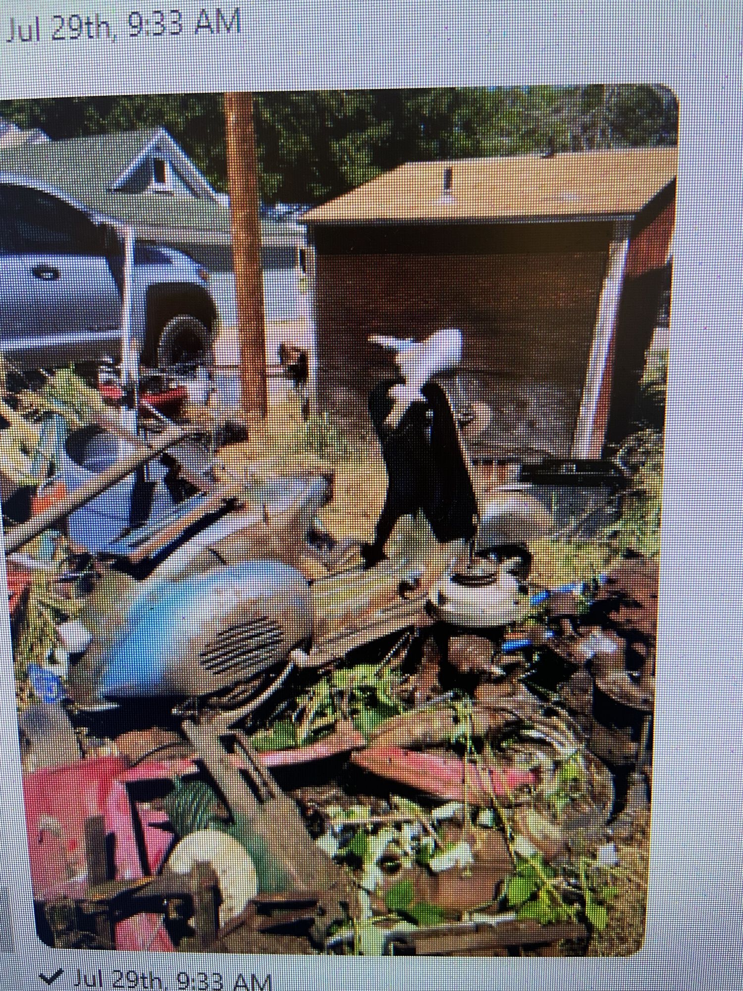 Forum member supplied image with no explanatory text