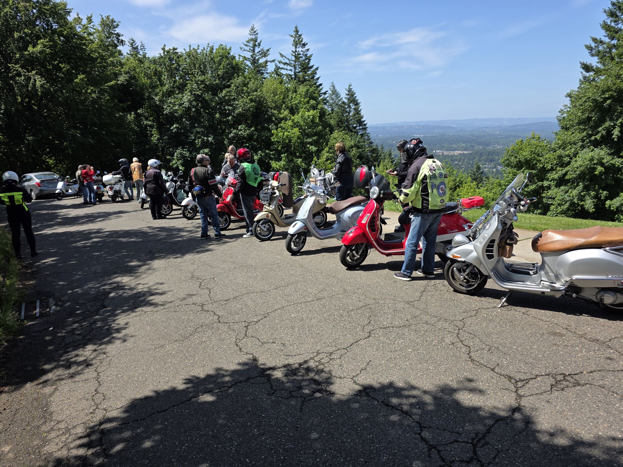 Forum member supplied image with no explanatory text