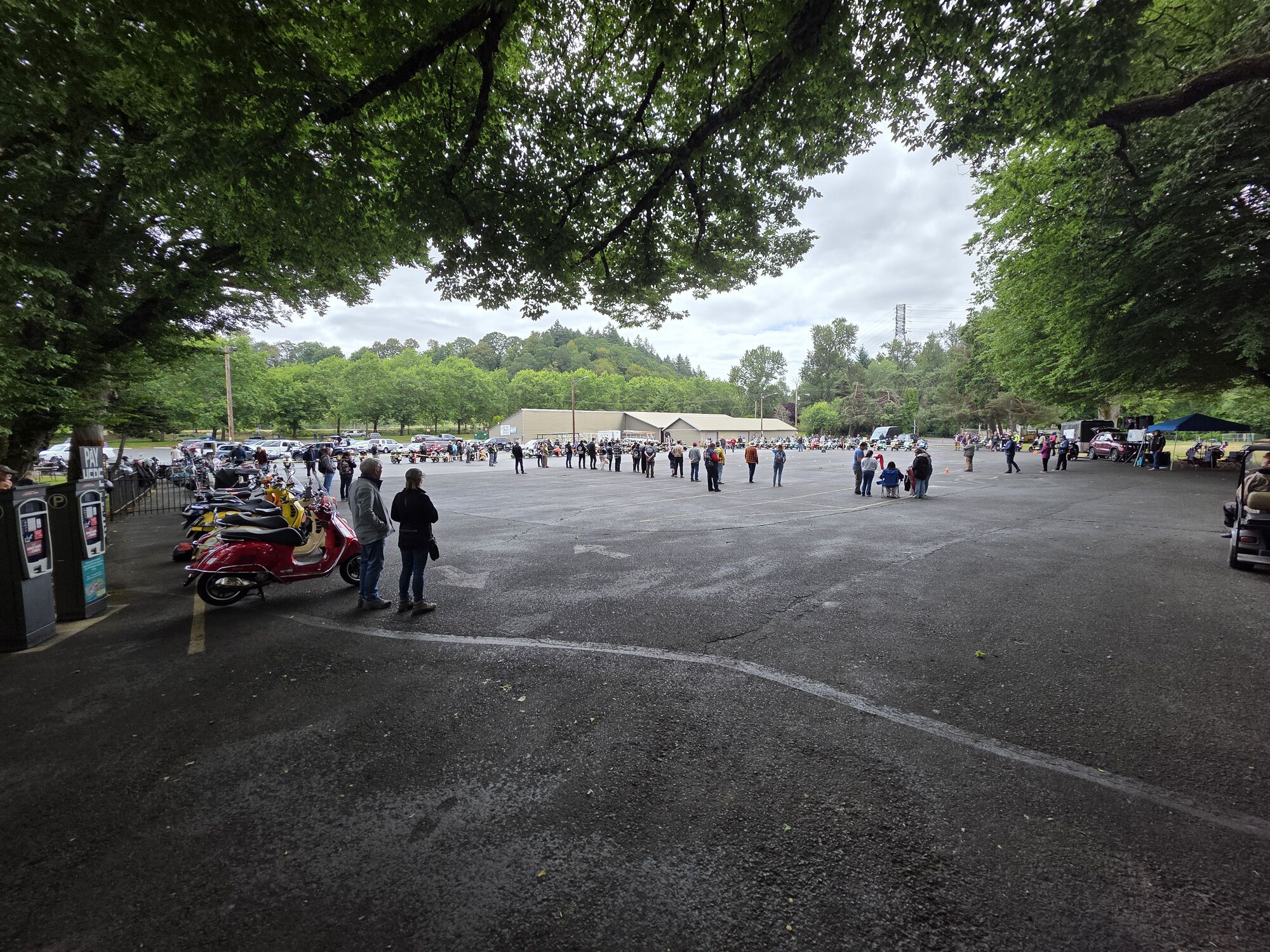 Forum member supplied image with no explanatory text