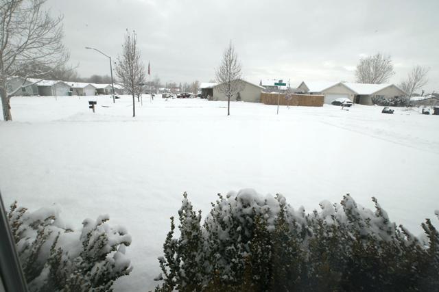 ...business as usual, and still snowing...