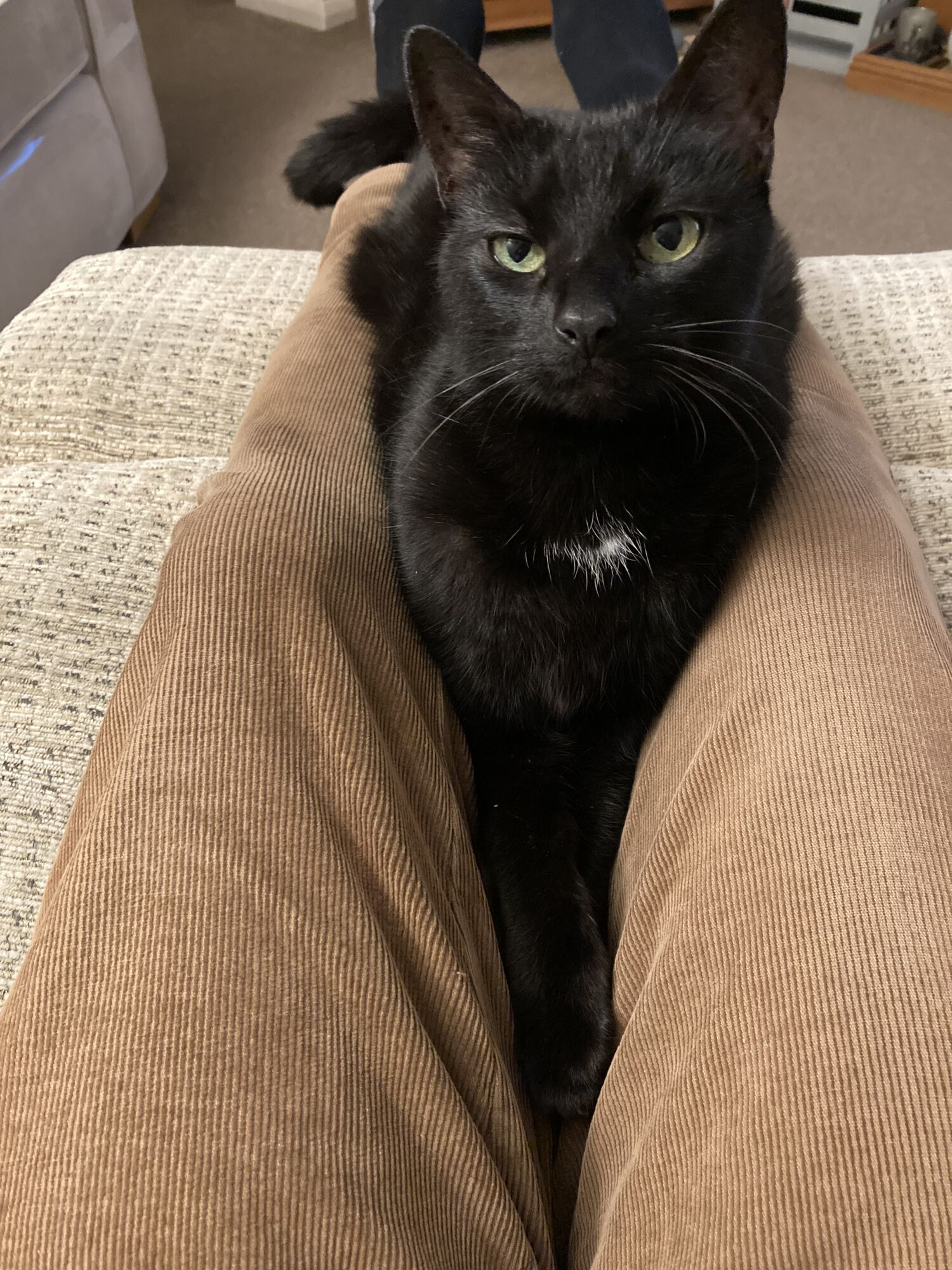 Forum member supplied image with no explanatory text