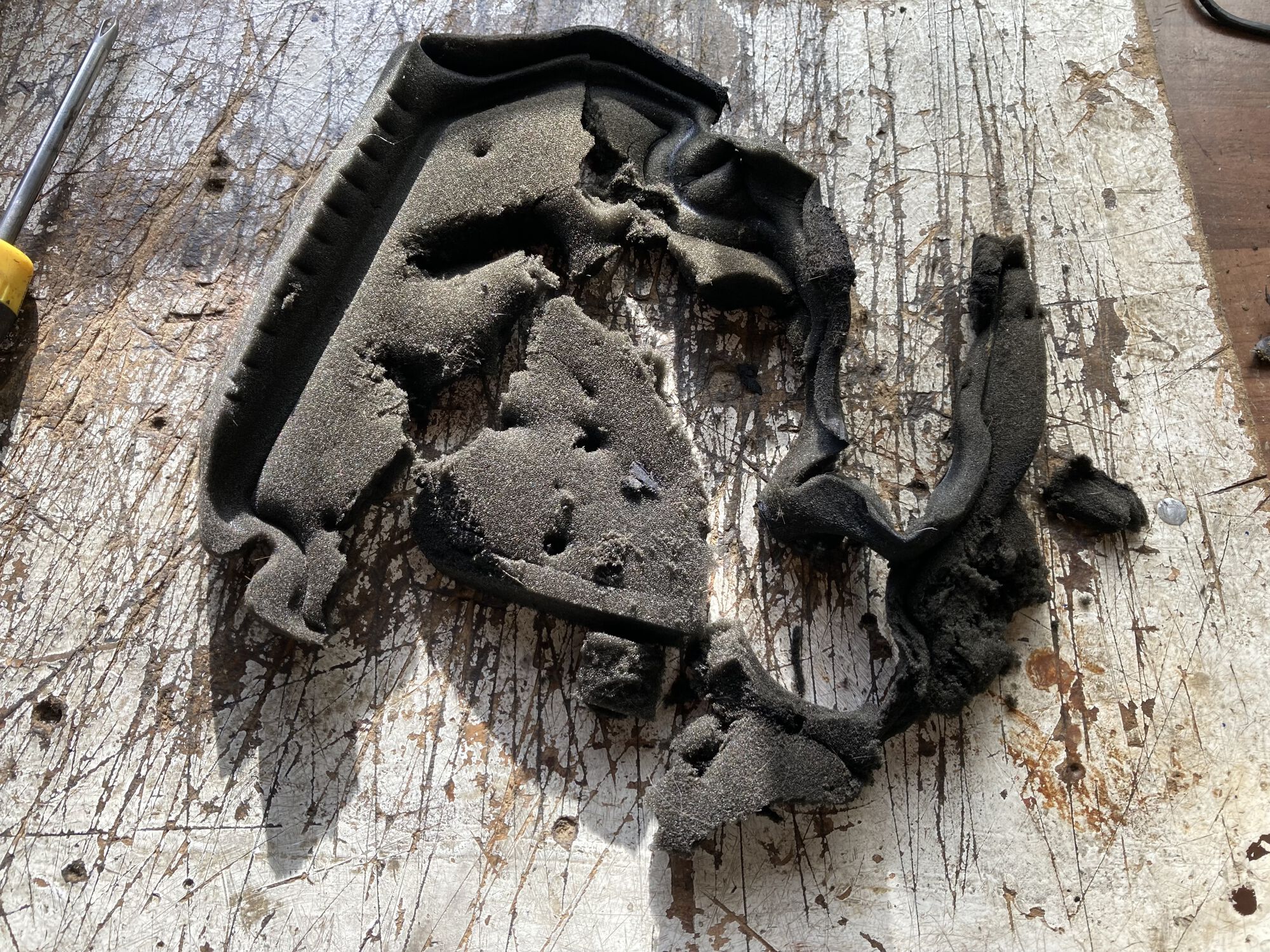 Forum member supplied image with no explanatory text