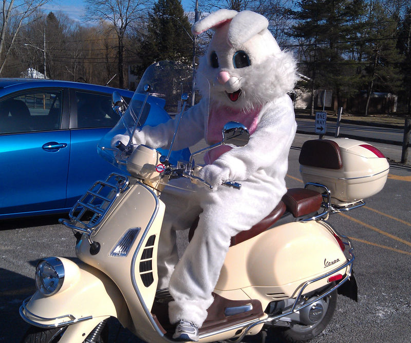 Forum member supplied image with no explanatory text