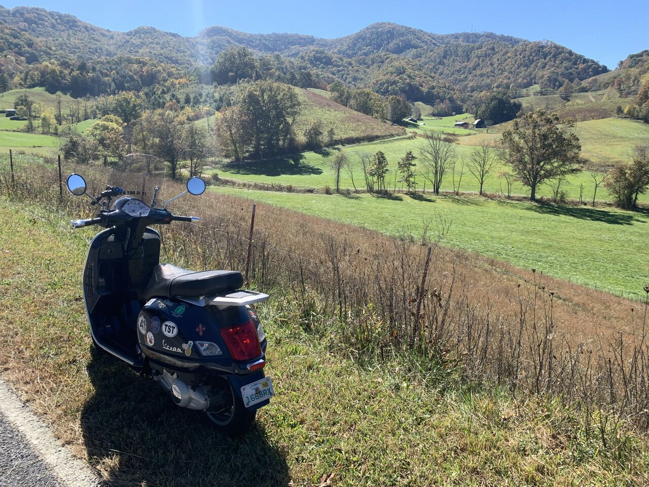 Yesterday morning on Crabtree Mountain Road.