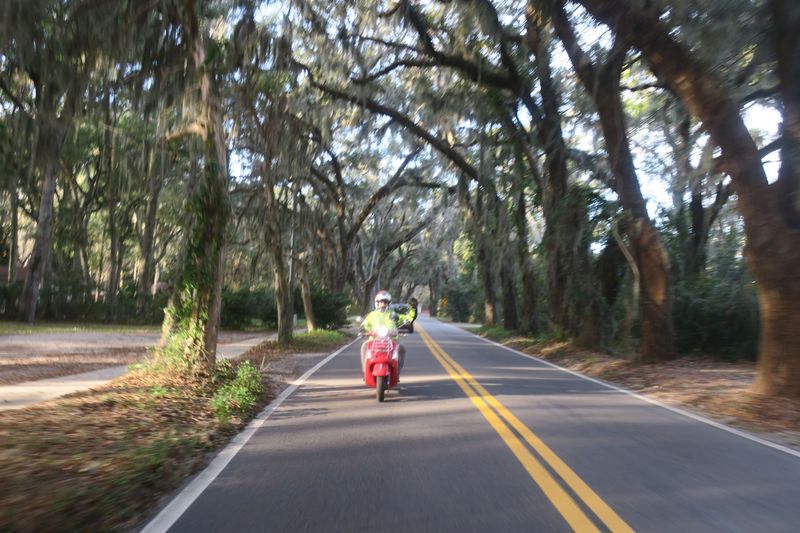 Canopy road on Amelia Island.