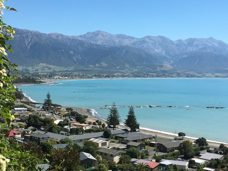 Forum member supplied image with no explanatory text