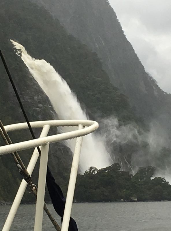 Forum member supplied image with no explanatory text