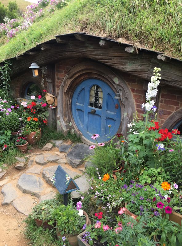 Forum member supplied image with no explanatory text