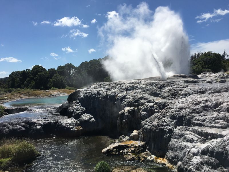 Forum member supplied image with no explanatory text