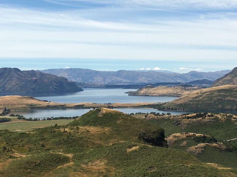 Forum member supplied image with no explanatory text