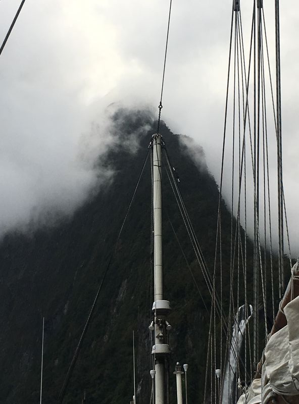 Forum member supplied image with no explanatory text