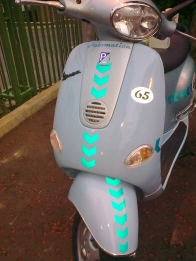 Forum member supplied image with no explanatory text