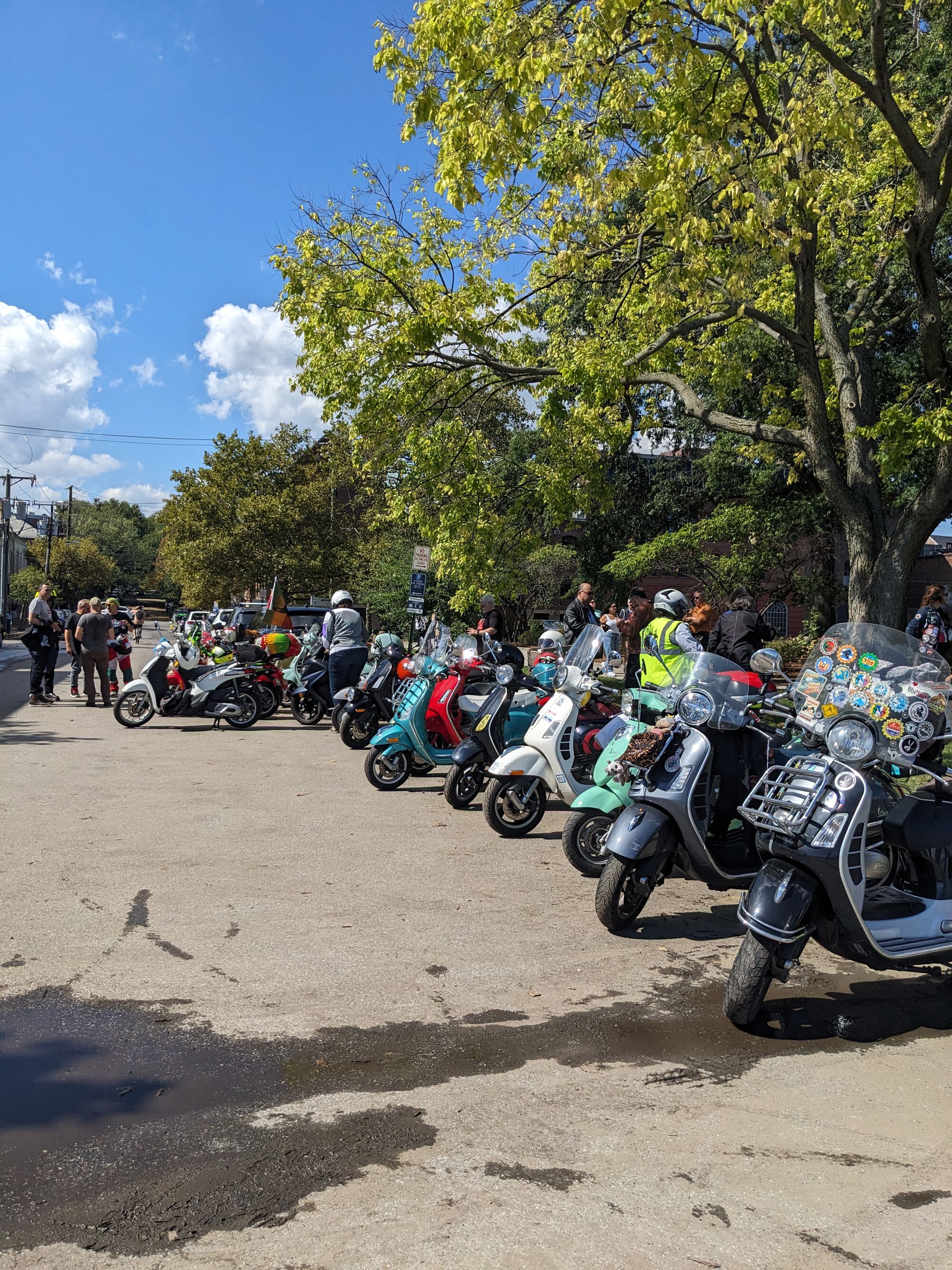 Forum member supplied image with no explanatory text