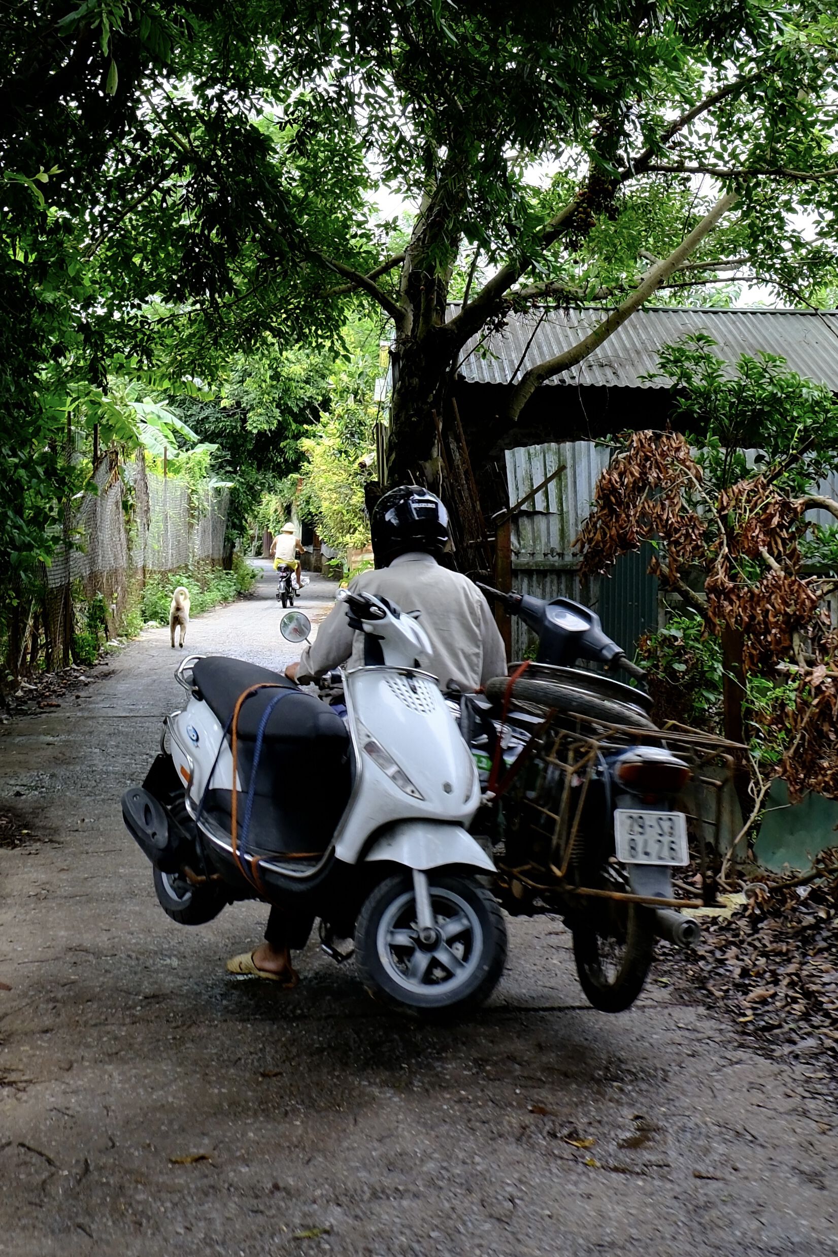 Forum member supplied image with no explanatory text