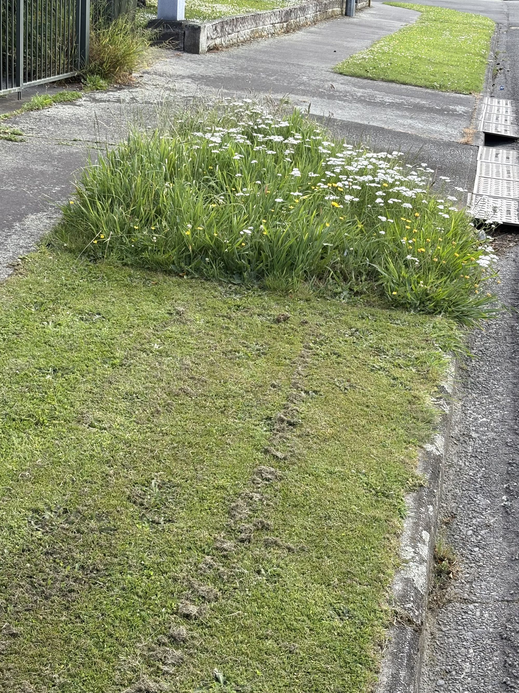 Forum member supplied image with no explanatory text