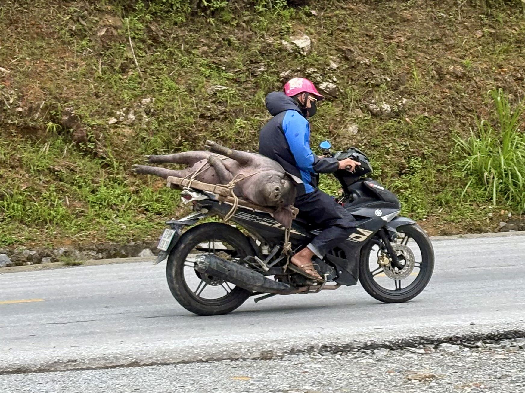 Forum member supplied image with no explanatory text