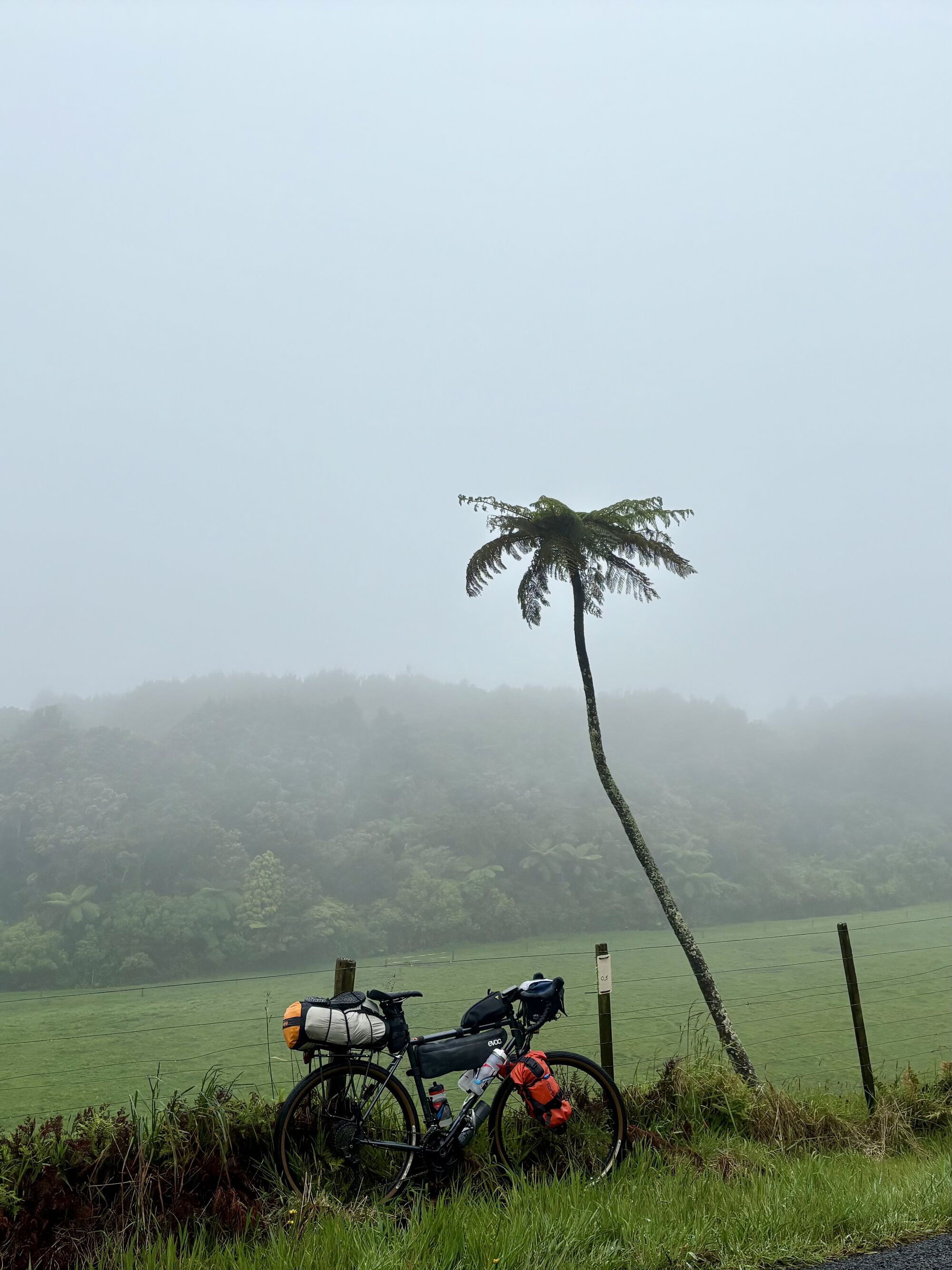 Forum member supplied image with no explanatory text