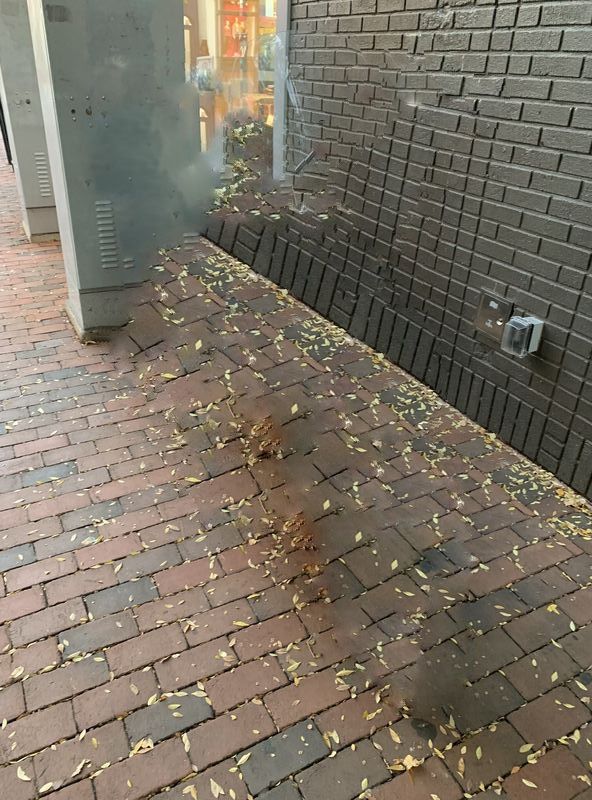 Forum member supplied image with no explanatory text