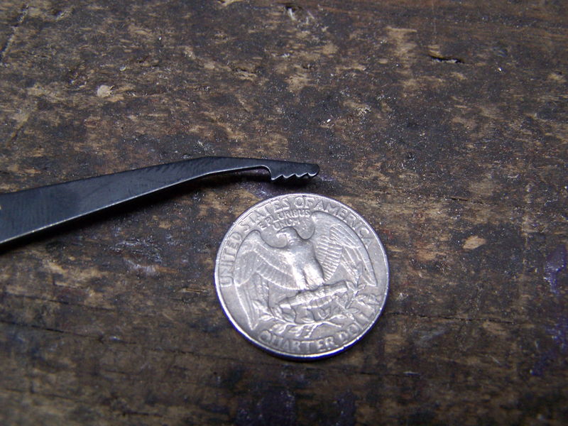 Forum member supplied image with no explanatory text